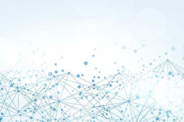 蔬菜生鲜创业项目：绿色科技引领健康生活图1