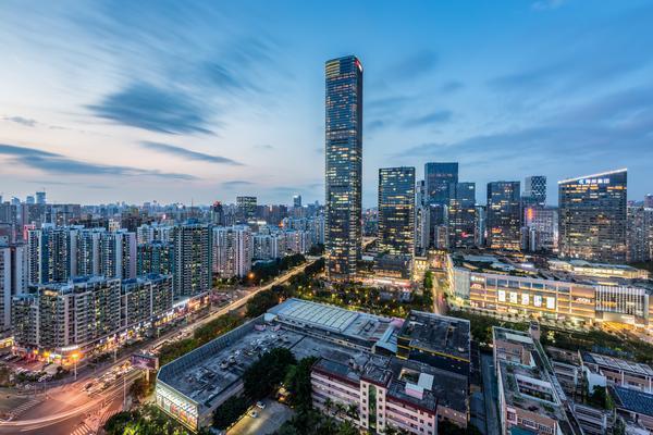 城市宠物伤人视频播放的法律问题及风险防范 图2