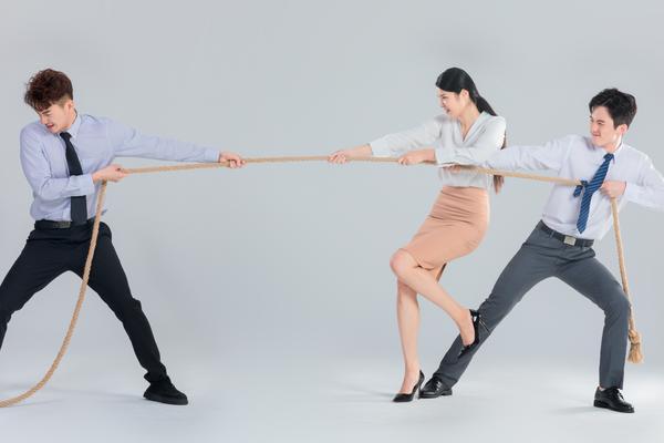 电子商务公司基础组织架构：法律视角下的构建与合规 图2