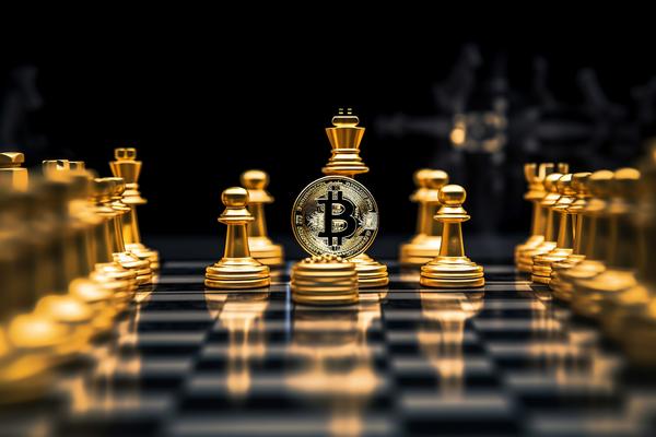 《宠物伤人事件通告：加强宠物管理，保障市民安全》图1