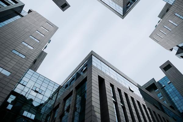 《校园暴力受害者：反抗还是沉默？探究心理与行动选择》图1