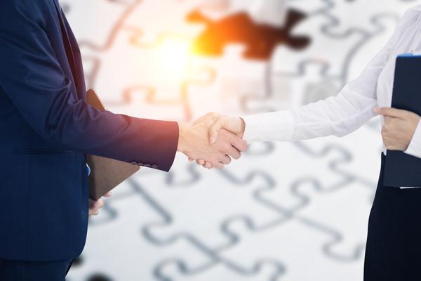 企业合作模式分类|法律视角下的签约主体类型深度解析 图2