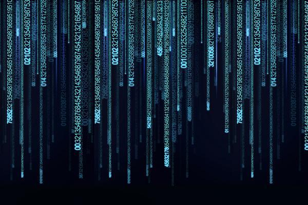 《女性校园暴力现象严重吗？调查数据显示暴力比例引人关注》图1