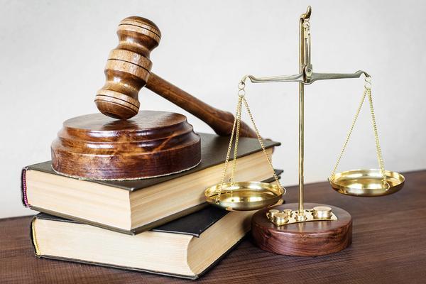 宠物伤人免责|法律解读与责任划分 图2