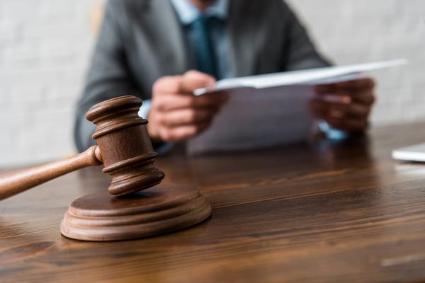 宠物伤人引发纠纷法官调解化解矛盾 图1