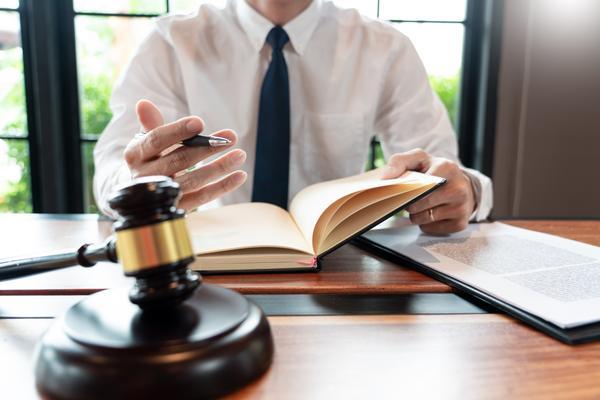 流浪动物侵权责任认定与裁判文书模板解析 图2