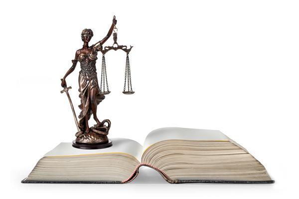 动物伤人事件中的法律问题与责任比例分析