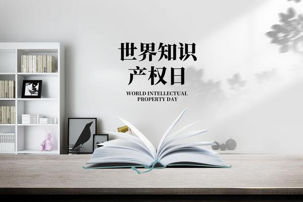 《知识产权侵权法律分析：案例与实用技巧》 图2