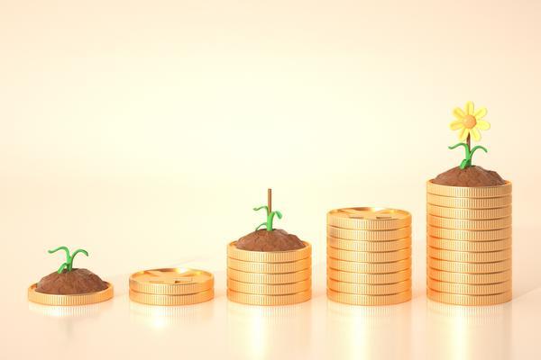 金融公司虚假宣传案例范文 图1