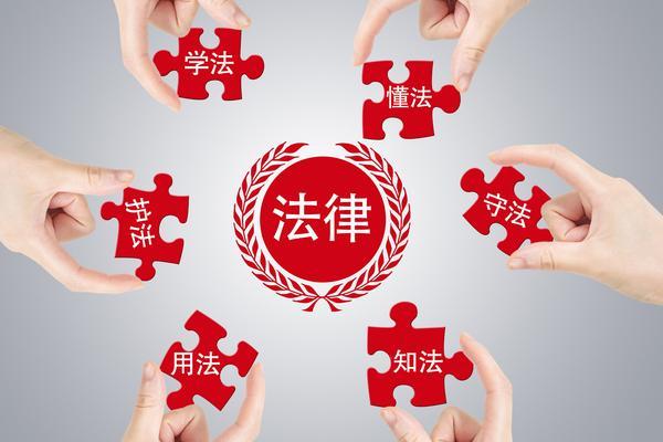 《财产侵权行为的认定与处理:法律角度和实践经验》图1