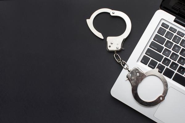 《网络暴力与计算机犯罪：探究两者之间的关联》 图2