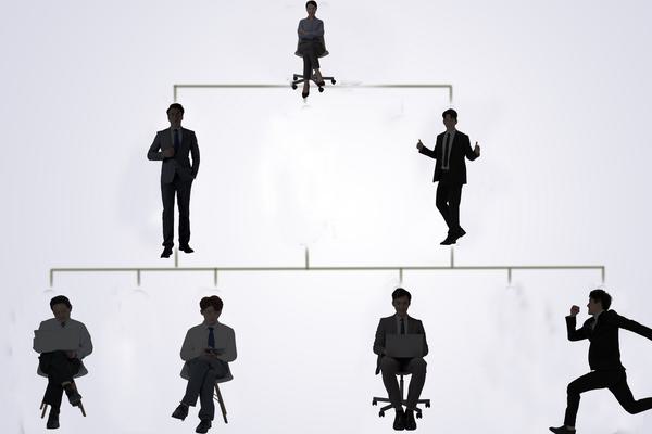 《消费者权益保护法解释：为您详解消费者权益保障机制》 图2